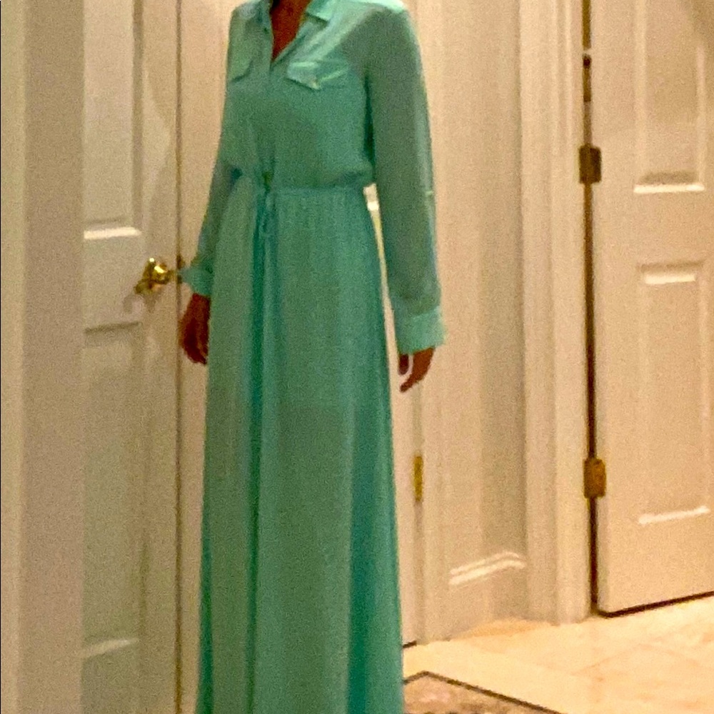Beautiful Green Sheer dress with slip under.